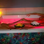 Bed and Breakfast Les Volets Violets 3*