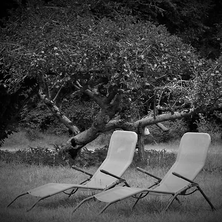 Bed & Breakfast Les Volets Violets Salles (Gironde)