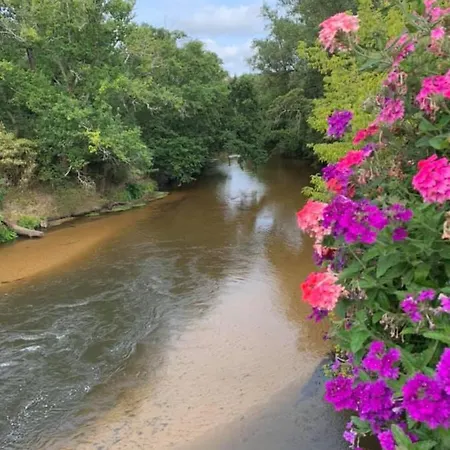 Les Volets Violets Bed & Breakfast Salles (Gironde)