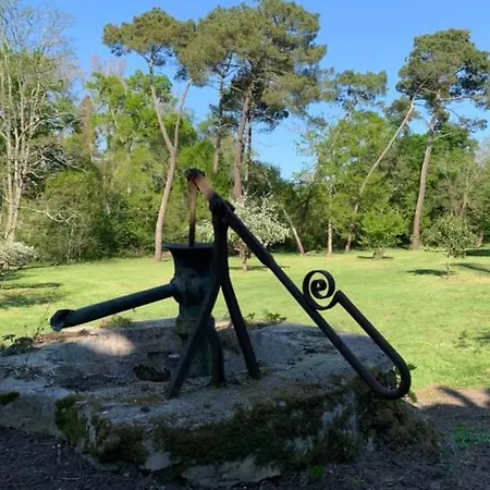 Les Volets Violets Bed & Breakfast