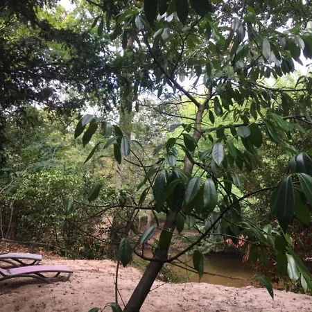 Les Volets Violets Salles (Gironde)