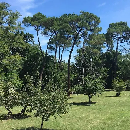 Les Volets Violets Bed & Breakfast