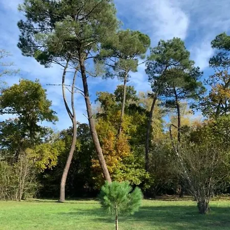 Oda ve Kahvaltı Les Volets Violets Salles (Gironde)