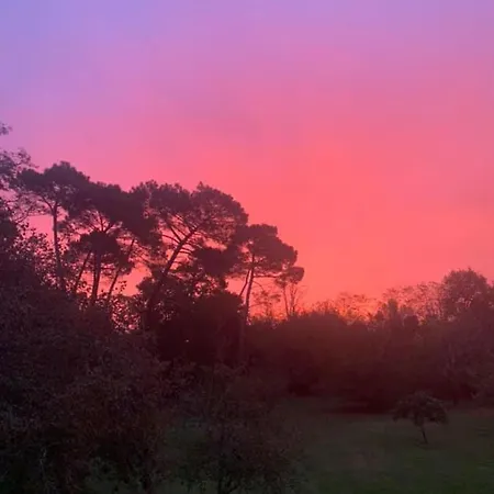 Oda ve Kahvaltı Les Volets Violets Salles (Gironde)