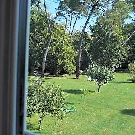 Les Volets Violets Bed & Breakfast