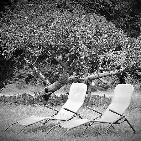 Les Volets Violets Bed & Breakfast Salles (Gironde)
