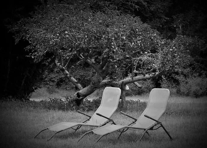 Bed & Breakfast Les Volets Violets Salles (Gironde)