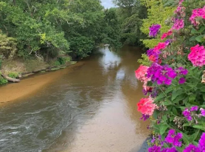 Les Volets Violets Bed & Breakfast Salles (Gironde)