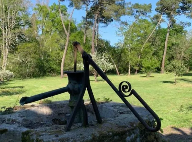 Les Volets Violets Bed & Breakfast