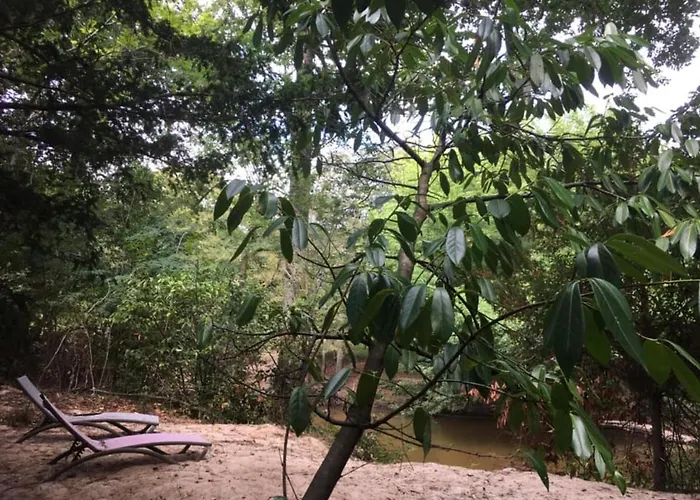 Les Volets Violets ساليس