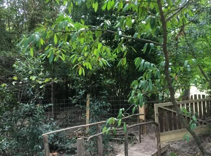 Les Volets Violets Bed & Breakfast