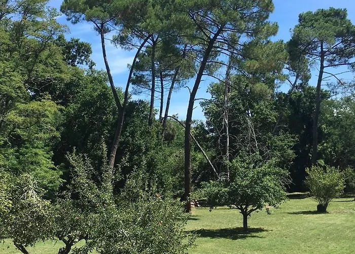 Les Volets Violets Bed & Breakfast