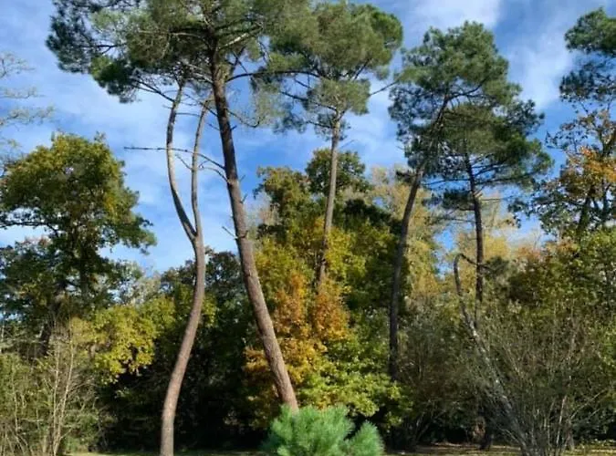 Frühstückspension Les Volets Violets Salles (Gironde)