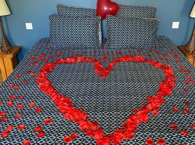 Les Volets Violets ساليس