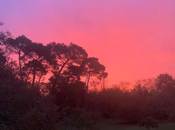 فندق مبيت وإفطار Les Volets Violets ساليس