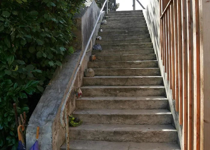 Les Volets Violets فندق مبيت وإفطار ساليس